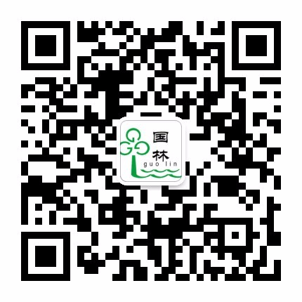 微信公众号