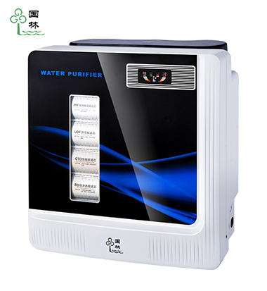 家用净水器-100G苹果机