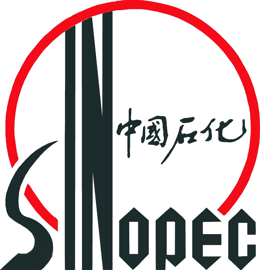 中石化石油化工科学研究院有限公司